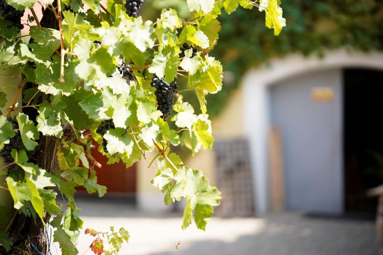 Weingut Martin Blass Erlabrunn  Ngoại thất bức ảnh